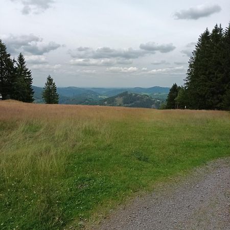 Ferienhaus Usseln วิลลิงเงิน ภายนอก รูปภาพ