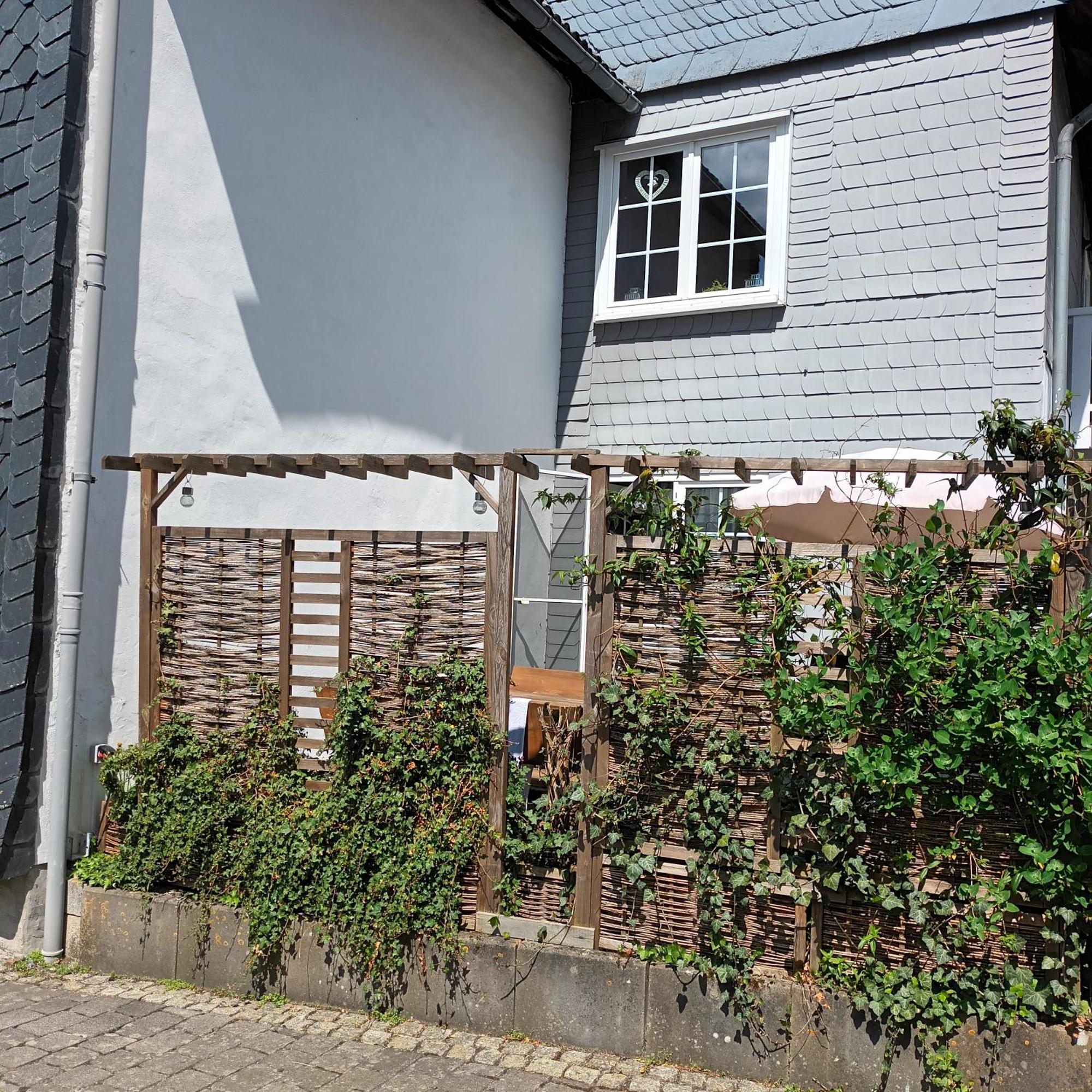 Ferienhaus Usseln วิลลิงเงิน ภายนอก รูปภาพ